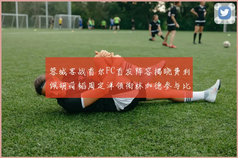 蓉城客战首尔FC首发阵容揭晓费利佩胡荷韬周定洋领衔林加德参与比赛