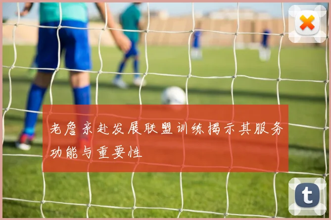 老詹亲赴发展联盟训练揭示其服务功能与重要性