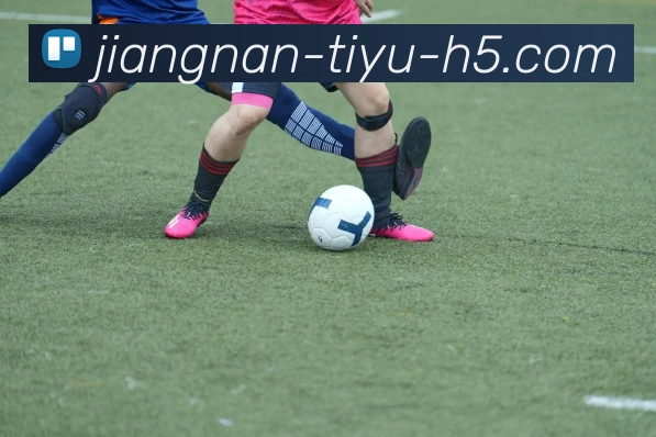 江南体育平台生态图