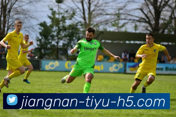 江南体育APP 封面图